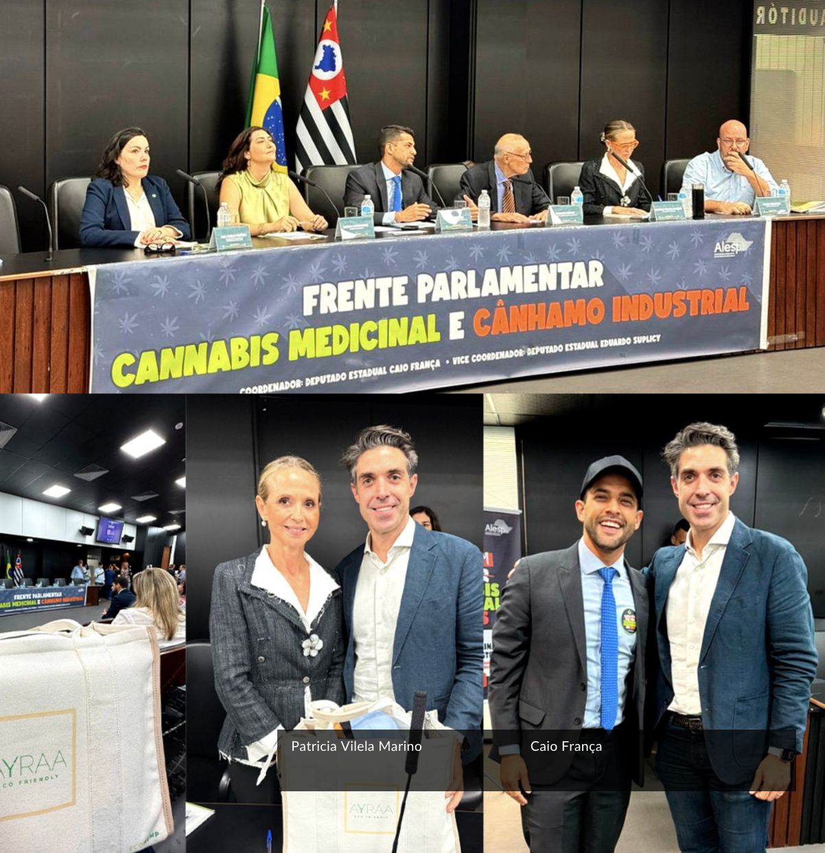 Frente Parlamentar faz audiência pública na Alesp para discutir a regulamentação do cânhamo no Brasil